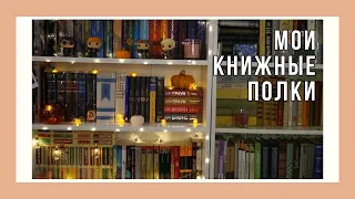 МОИ КНИЖНЫЕ ПОЛКИ! Что почитать?