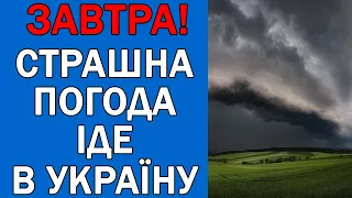 ПОГОДА НА 5 СЕРПНЯ : ПОГОДА НА ЗАВТРА