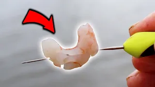 I tried fishing with Prawns!