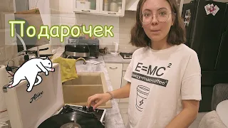 мой ПОДАРОК на 8 марта🥰 // виниловый проигрыватель!!!