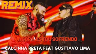 Remix Sertanejo Agora Estou Sofrendo Gusttavo Lima parte Calcinha Preta