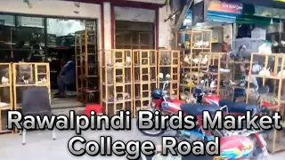 Rawalpindi College Road Birds Market. راولپنڈی کالج روڈ پرندوں کی منڈی