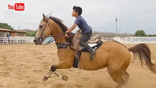 VAQUEIRO LEVY - TREINO DE VAQUEJADA NO PARQUE GUARANI