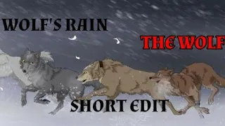 Wolf's Rain - Short Edit - | The Wolf | {shingetsu}