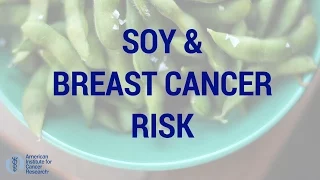 Soy and Breast Cancer Risk