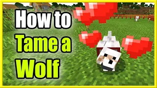 How to TAME a Wolf or Dog in Minecraft (Fast Method!)