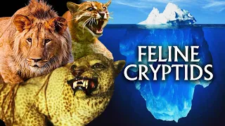 The Feline Cryptid Iceberg Explained