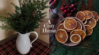 Making a Cozy Home for the Holidays | Vlog