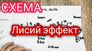 Лисий эффект | наращивание ресниц | схема