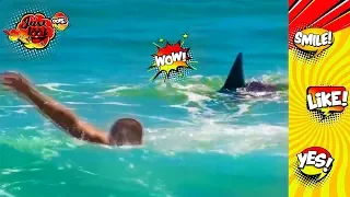 SHARK ATTACK BEACH PRANK | Best funny prank compilation