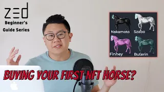 Buying your first NFT race horse | Zed Run Beginner's Guide Series