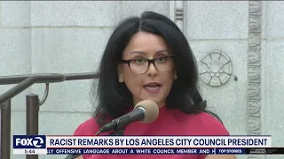 LA City Council speaker recorded making racist comments