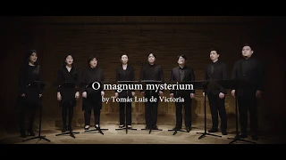 Sonority: O magnum mysterium - Tomás Luis de Victoria