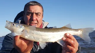 PESCA DE LOCOS "LAGUNA CUERO DE ZORRO" 30 Y 31/05/2022 -TRENQUE LAUQUEN- ESTA RINDIENDO A FULL!!!💪🏾🎣