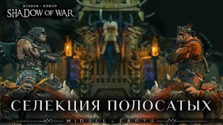 Middle-earth: Shadow of War - Селекция полосатых орков с топорами