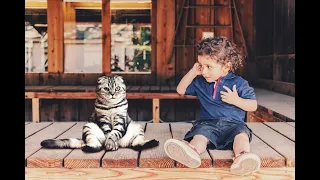 Cats Meeting Babies for the FIRST Time NEW Compilation - pet lovers like you