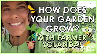 How Does Your Garden Grow? (Kindergarten, Lesson 2 from the Green Our Planet Curriculum)