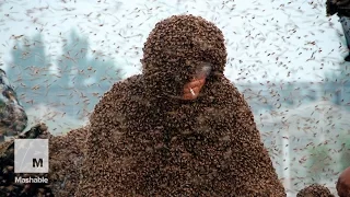 A man covered himself with 1.1 million bees to feel alive for the first time | Mashable