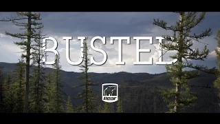 BUSTED - Montana Spring Bear Hunt