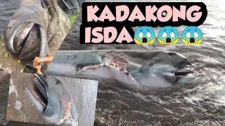 MALAKING ISDA DUMAGSA SA DALAMPASIGAN NG HINUNANGAN