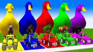 5 Giant Duck, Monkey, Piglet, chicken, dog, cat, cow, Sheep, Transfiguration funny animal 2023