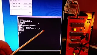 Quick demo of BBC Basic and MS Basic on my Ruby 6502 board.