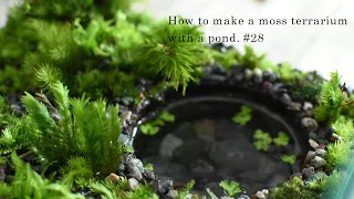 How to make a terrarium with a pond #28