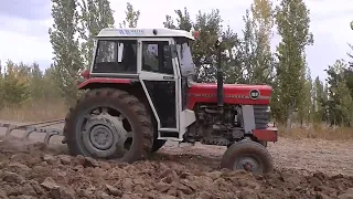 Massey Ferguson 188 tarla sürümü, bahçe arası çalışma,tarla işleri