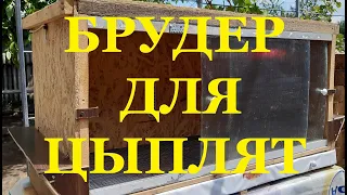 Брудер для цыплят