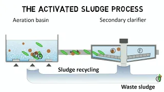 Activated sludge process and IFAS - Design rules + guideline