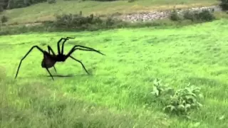 Action movie fx spider attack