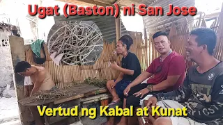 Ugat/Baston ni San Jose Malakas sa Kabal at Kunat