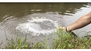 DIY Pond Aeration:  Improve Your Pond Water Quality (plus "Big Max" vs. Hiblow aerators)