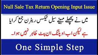 How to resolve opening Input tax issue in National Sale Tax Return | FBR | IRIS |