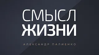 Смысл жизни. Александр Палиенко.