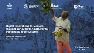 Digital innovations for climate-resilient agriculture: A pathway to sustainable food systems