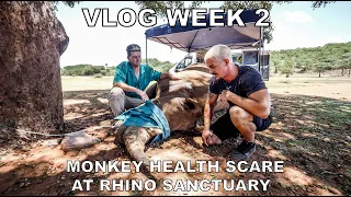 Dean Schneider VLOG week 2 - Bonding with the pride, Rhino Sanctuary and Monkey health scare.