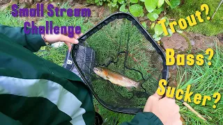 Small Stream Challenge. Daughter vs Dad.