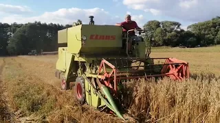 Claas compact 25, koszenie Owsa żniwa 2022