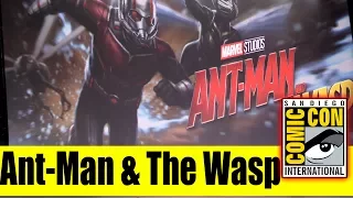 ANT-MAN & THE WASP Huge Casting News | Comic Con 2017 Panel