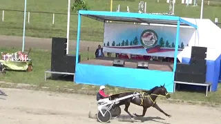 2й заезд, Приз министерства сельского хозяйство НСО, 24 08 2019 Новосибирский ипподром