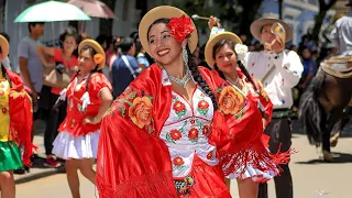 🇧🇴CUECAS BOLIVIANAS🇧🇴(LO MEJOR DE LO MEJOR) CUECA TARIJEÑA