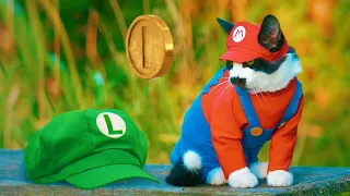 Super Mario CAT Bros.