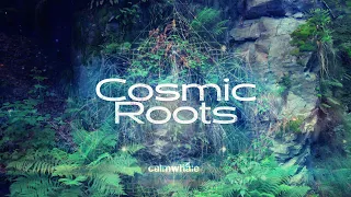 2 Shaman Drums Gaia Grounding Ceremony :: Reconnect with your Source :: Cosmic Roots ::