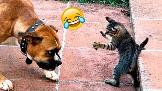 Cats vs. Dogs 😹 The Ultimate Comedy Showdown 2024