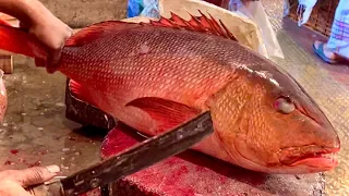 Amazing Red Snapper Fish Cutting By Expert Fish Cutter | Bangladesh Fish Market