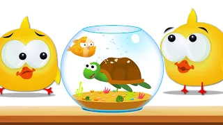 Lucky Ducky Fish Pot | Learn Colors, Good Manners + More Rhymes | Cartoon Candy