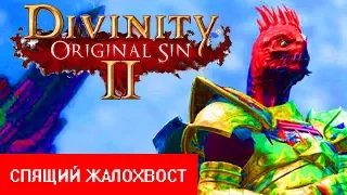 Divinity: Original Sin II - ДЛЯ НОВИЧКА В PRG. ОНО ТОГО СТОИТ?