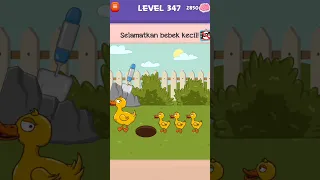 Selamatkan bebek kecil - Braindom 3 level 347 - #shorts