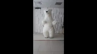 Надувной Костюм   Белый Медведь с Длинным мехом  / Inflatable mascot   Polar Bear